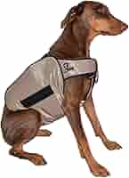 Amazon.com : TechKewl Phase Change Cooling Dog Coat, Large/X